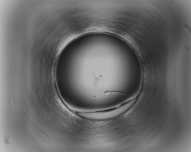 X0000102221382200808011152