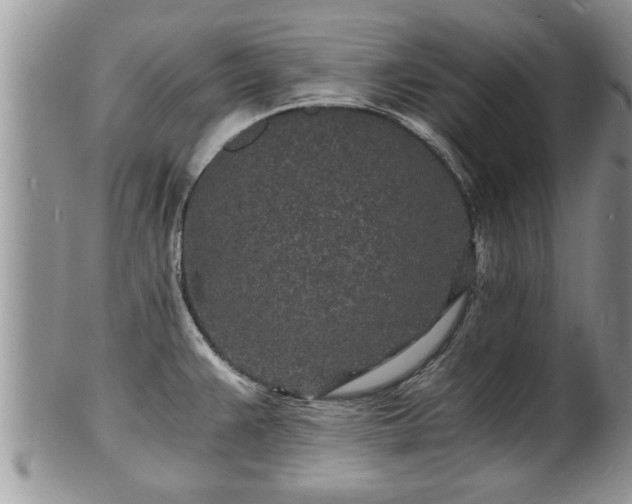 X0000102221383200808011152