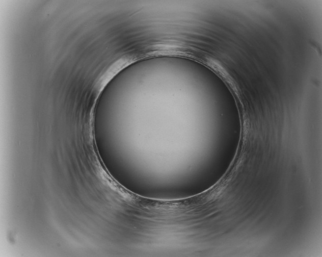 X0000102221386200808011152