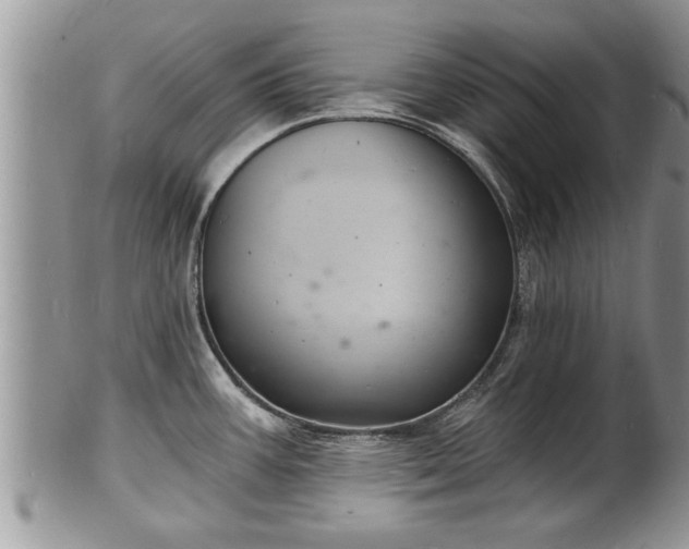 X0000102221387200808011152