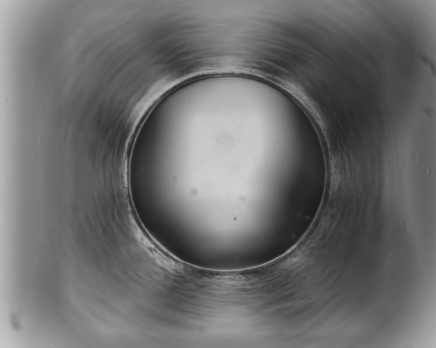 X0000102221388200808011152