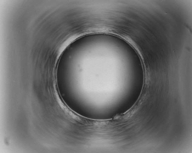 X0000102221389200808011152