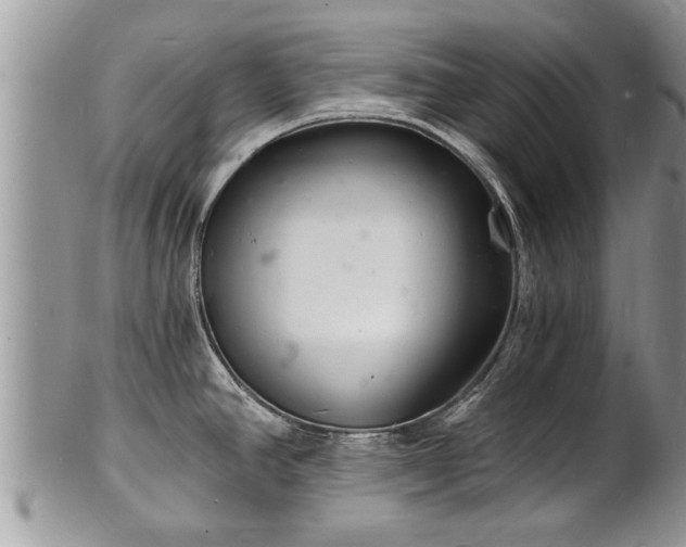 X0000102221390200808011152