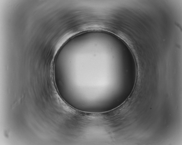 X0000102221392200808011152