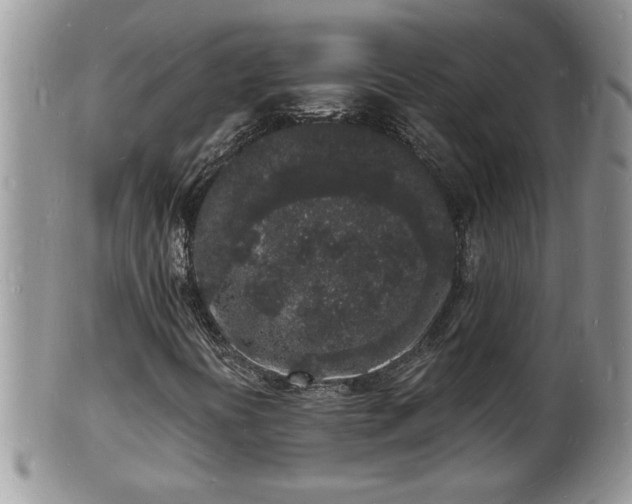 X0000102221394200808011151