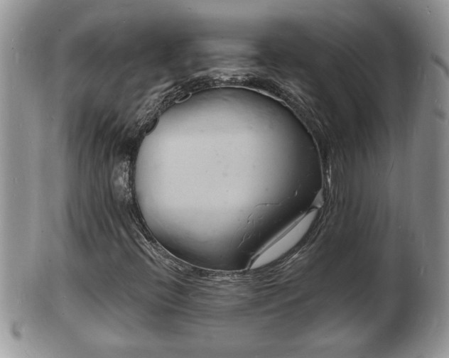 X0000102221396200808011151