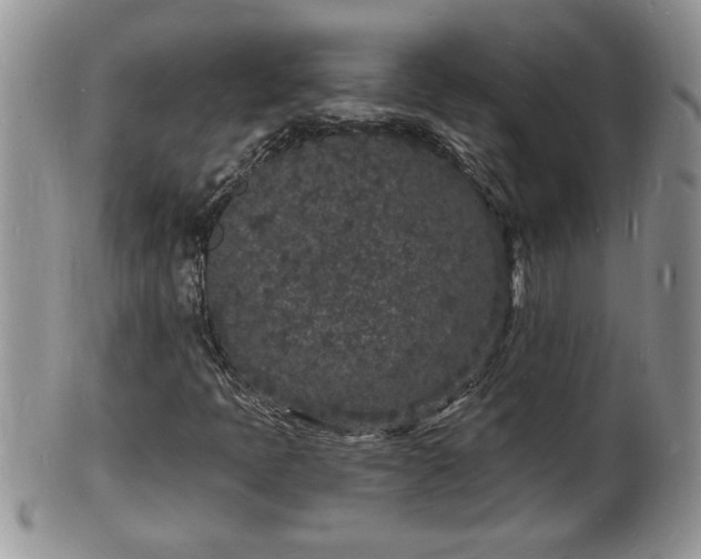 X0000102221397200808011151