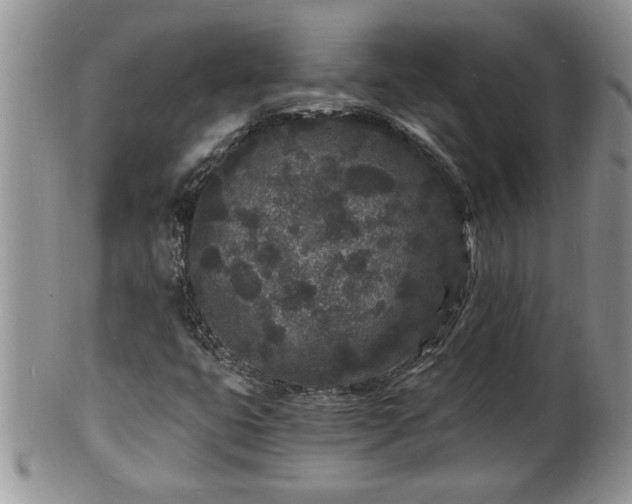 X0000102221399200808011151