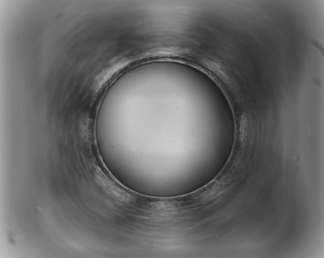 X0000102221404200808011151