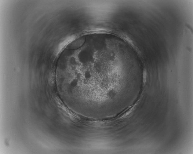 X0000102221405200808011151