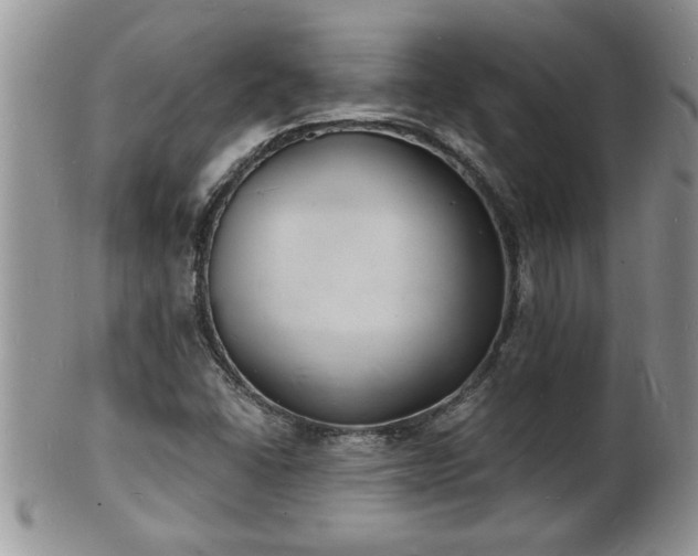 X0000102221406200808011151