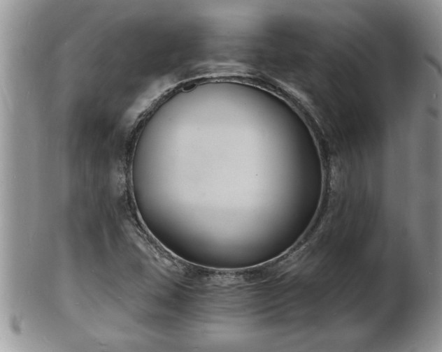 X0000102221407200808011151