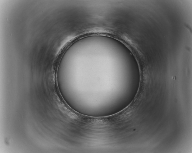 X0000102221408200808011151