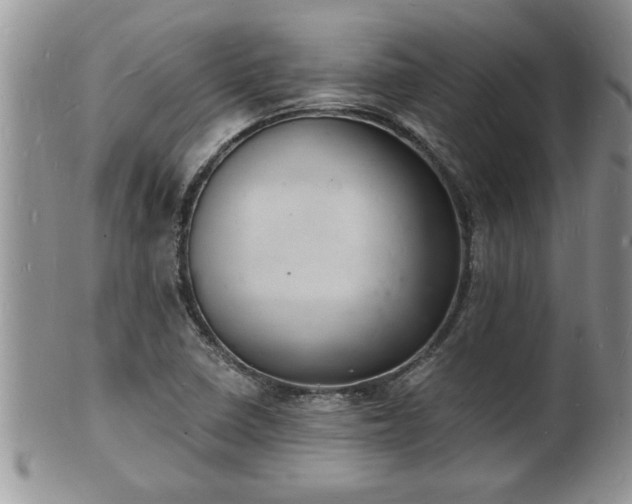 X0000102221410200808011151