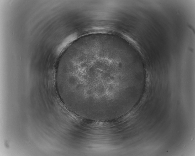 X0000102221411200808011151