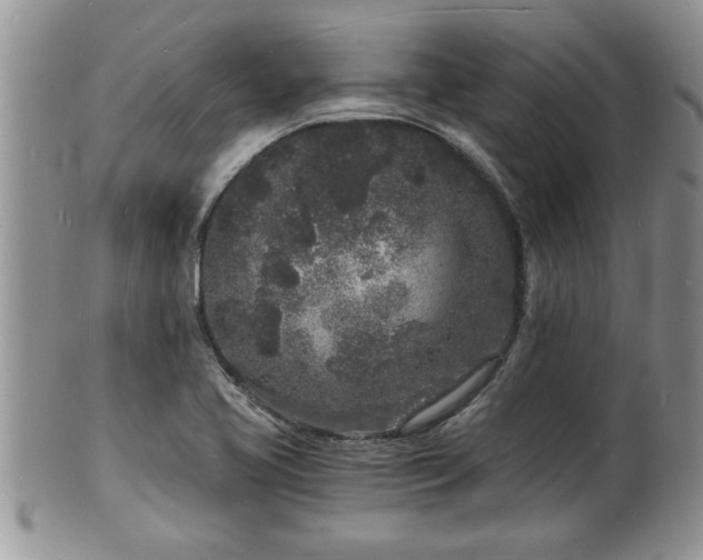 X0000102221413200808011151