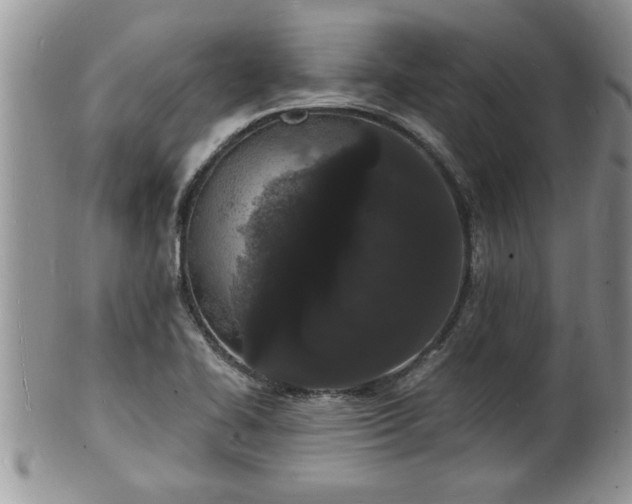 X0000102221414200808011151