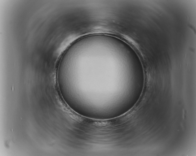 X0000102221415200808011151