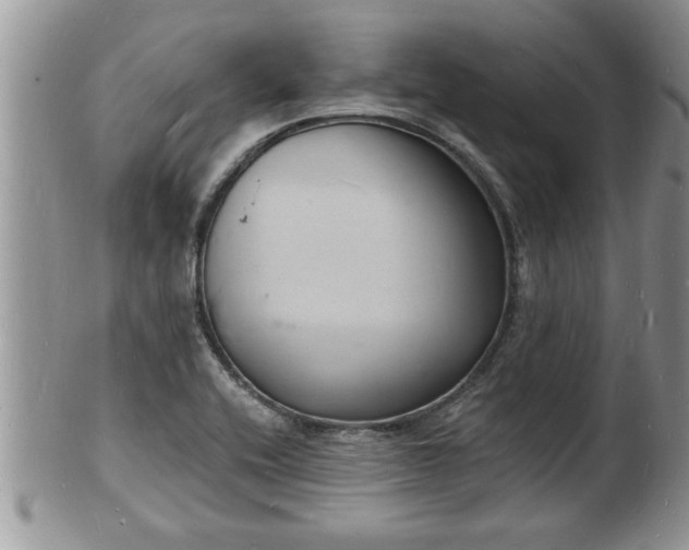 X0000102221416200808011151