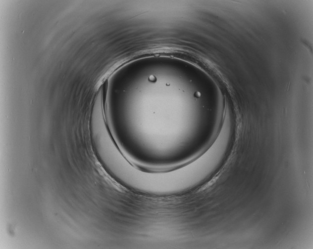 X0000102221417200808011151