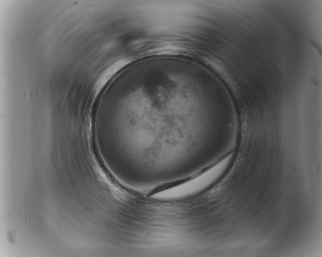 X0000102221418200808011151