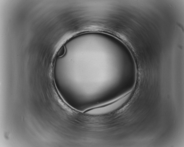 X0000102221421200808011152