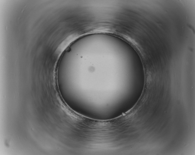 X0000102221423200808011152