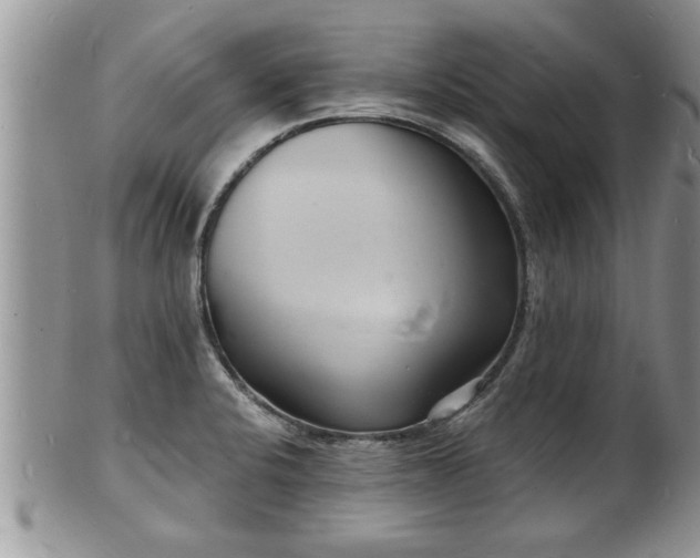 X0000102221424200808011152