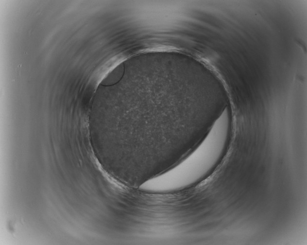 X0000102221425200808011152