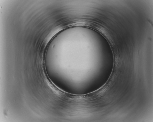 X0000102221426200808011152