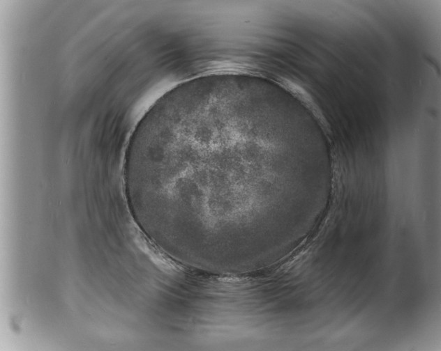 X0000102221427200808011152