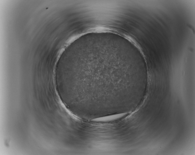 X0000102221429200808011152