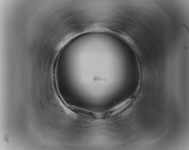 X0000102221430200808011152