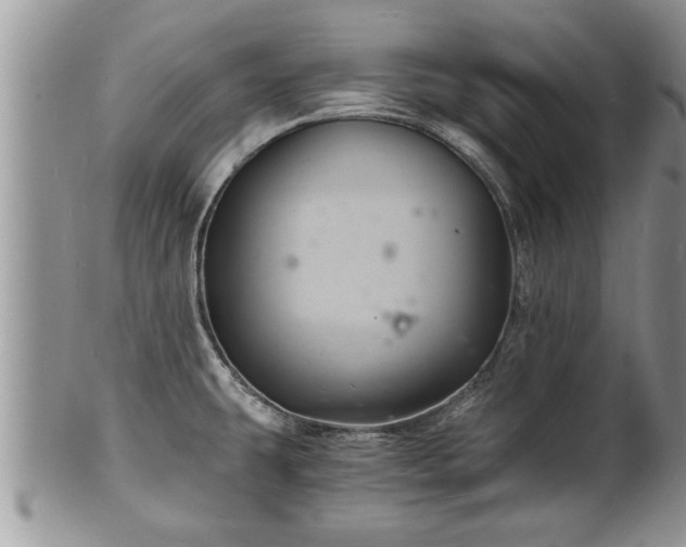 X0000102221431200808011152