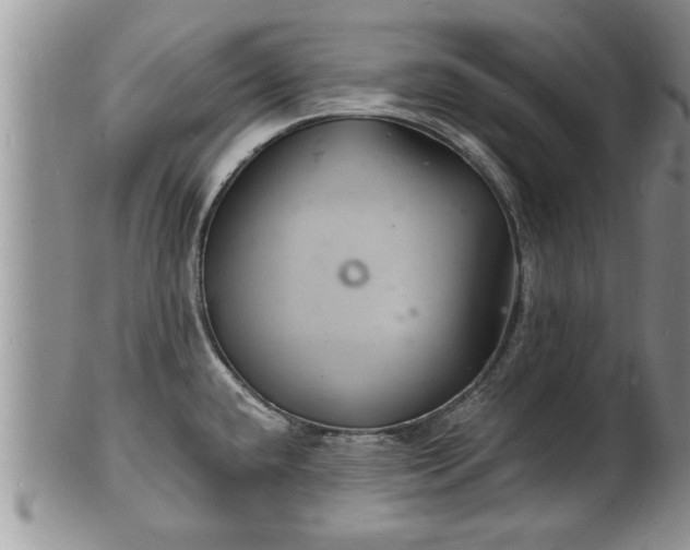 X0000102221432200808011152