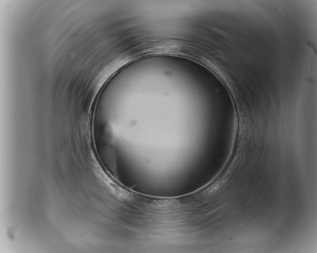 X0000102221434200808011152