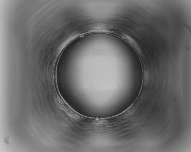 X0000102221435200808011152