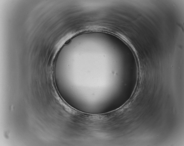 X0000102221437200808011152