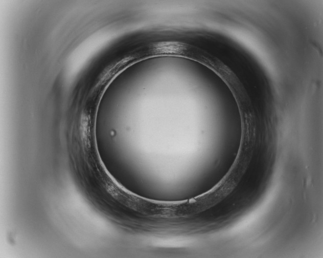 X0000102221438200808011152