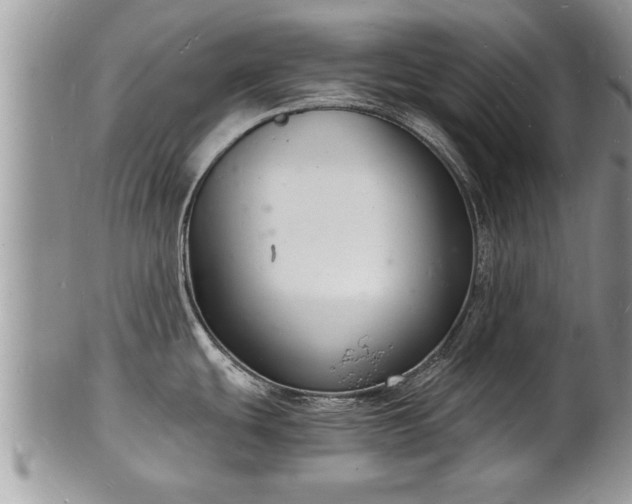 X0000102221439200808011152