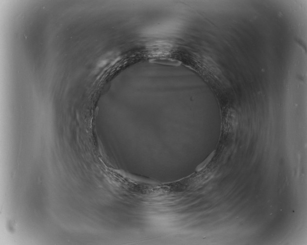 X0000102221441200808011151