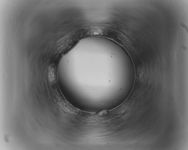 X0000102221442200808011151