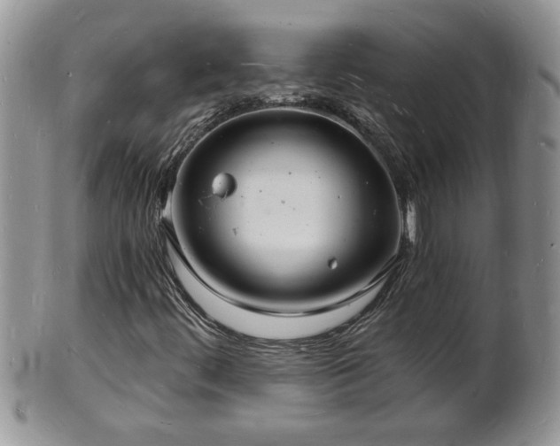 X0000102221444200808011151