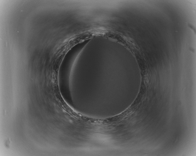 X0000102221445200808011151