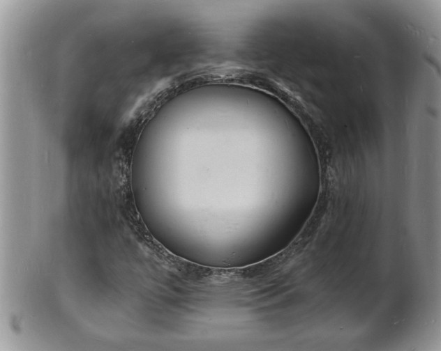 X0000102221447200808011151