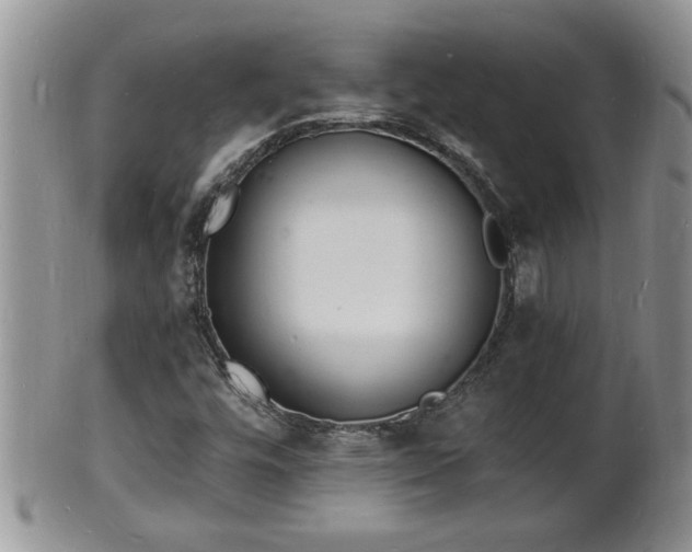 X0000102221448200808011151