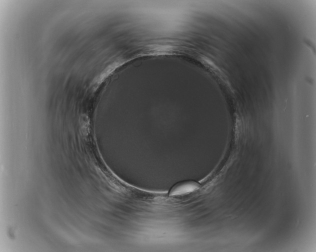 X0000102221449200808011151