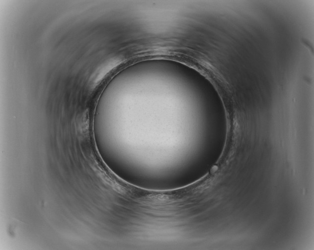 X0000102221450200808011151