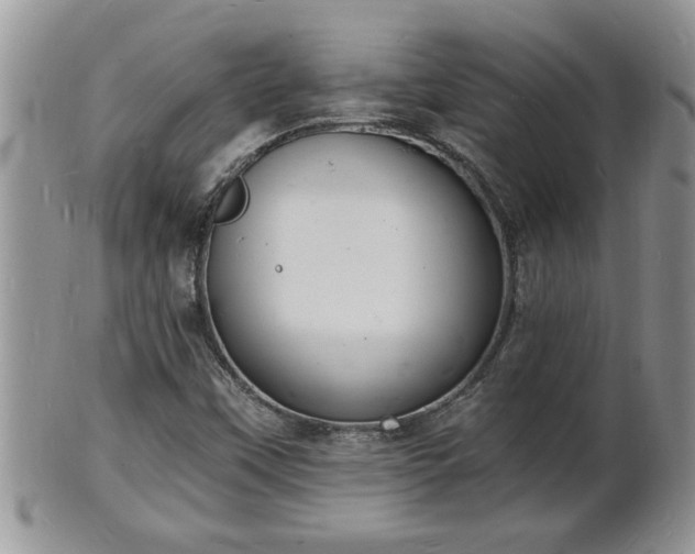 X0000102221451200808011151