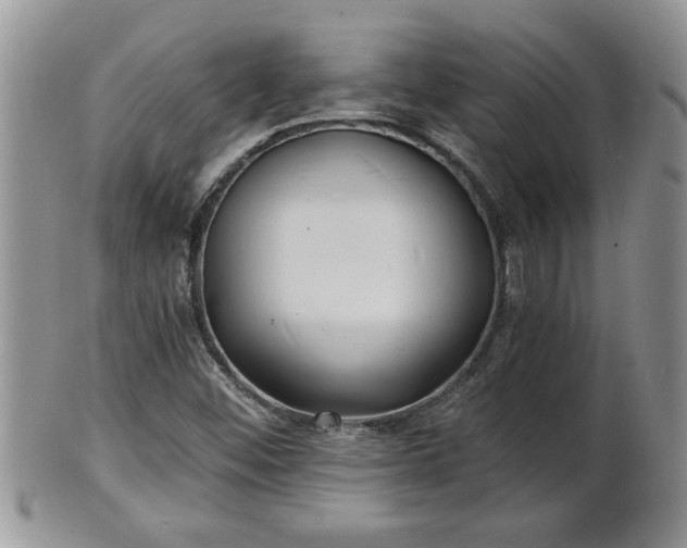 X0000102221452200808011151